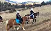 Забавление в сърцето на Родопите, край с. Хвойна! Разходка с кон, с водач - 2 часа или цял ден
