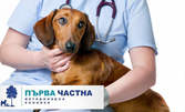 За вашето куче или коте! Изследване и пълен клиничен преглед - без или със подсилване на имунитета