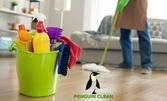 Професионално основно почистване на дом или офис с площ до 100кв.м