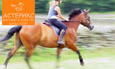 Урок по конна езда за начинаещи или напреднали - за 14.80лв