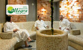Подари време за релакс в Златни пясъци: SPA ден с ползване на басейн, инфрачервена сауна, арома стая и солна стая, плюс комплимент - механичен рефлекторен масаж и минерална вода
