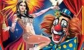 Циркова приказка "Чудесата за Принцесата" в Софийски цирк на сцена