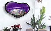 Оборудван дизайнерски стенен аквариум (14 литра) елипса