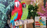 Вход за изложба на екзотични папагали в Мол Марково Тепе