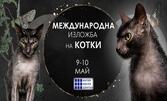 Изложба на котки