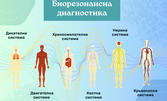 Биорезонансна диагностика - сканиране на всички органи и системи