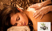 Мануална терапия или лечебен масаж на гръб, или аромамасаж на цяло тяло