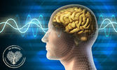 Неврофийдбек - образна диагностика на мозъчната активност и консултация с невротерапевт