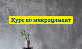 Интензивен ускорен курс по декоративни мазилки, плюс диплома от МОН