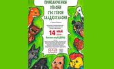 Постановката "Приключения опасни със герои сладкогласни" от Недялко Йорданов - на 14 Май, във Военен клуб