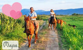 Подари незабравимо изживяване: Разходка с кон край Пловдив - за един или двама - с. Ягодово