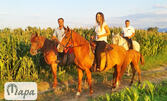 Забавление край Пловдив: Урок по конна езда за начинаещи или напреднали - в с. Ягодово
