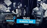 Концерт на Acoustic Soul на 30.01