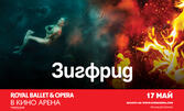 Кино Арена Панорама Мол Плевен представя прожекция на операта "Royal Ballet & Opera: Зигфрид" на 17 Май