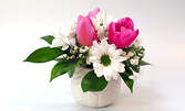 За Празника на жената! Аранжировка от червена роза, орхидея или лалета в керамична кашпа по избор