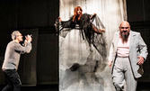 Спектакълът "Лулу" от Франк Ведекинд - на 15 Март, в Театър "Сълза и смях"