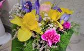 Кошничка с гербер или с мини рози, цветно дръвче, пролетен букет или букет от хризантеми
