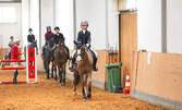 40-минутен урок по конна езда с професионален инструктор