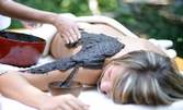 Лечебна терапия на зона по избор с черноморска луга или масаж на гръб или цяло тяло