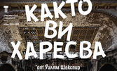 "Както ви харесва" с режисьор Габор Томпа - на 7 Февруари, в ДТ "Стоян Бъчваров"