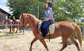 Забавление за деца край Пловдив: 15 минути разходка с кон