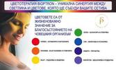 Забави стареенето: Подмладяваща цветотерапия на лице с Bioptron и козметика на Zepter