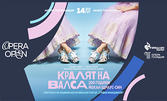 Opera Open 2025 представя операта "Кралят на валса: 200 години Йохан Щраус - син" на 14 Юли в Античен театър - Пловдив