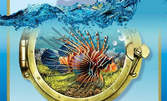 Вход за двама за изложба на екзотични рибки "Подводен свят" в Китен