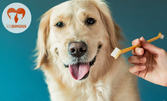 Почистване на зъбен камък на куче, плюс преглед и продукт за домашна грижа