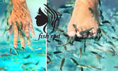 Fish SPA терапия на ходила и длани с рибки Garra Rufa - 40 минути релакс