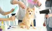 Грижа за кучето - подстригване, къпане, разресване и изсушаване