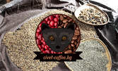 Оригинално кафе от цибетка Kopi Luwak Gaio Arabica