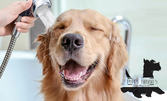 Поглезете вашия любимец! Къпане на куче, SPA терапия Nagayu, почистване на уши, изрязване на нокти и изсушаване