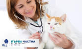 За куче или коте! Пълен клиничен преглед и обезпаразитяване, плюс изследване на кръв или ваксина