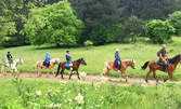 Планинска езда за начинаещи и напреднали ездачи край село Хвойна
