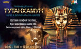 Вход за експозицията "Тутанхамун - една недовършена любовна история" със 120 артефакти и 10-минутен филм