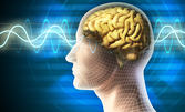 Неврофийдбек: образна диагностика и тренинг на мозъчната активност