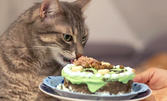 Торта за рожден ден на котка - с вкус по избор