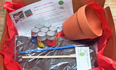 Еко продукт с кауза: Комплект "Засади сам градинка в чашка" - керамична саксийка, семена и боички