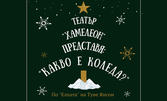 Кукленият спектакъл "Какво е Коледа" от Мила Коларова и Румен Гаванозов - на 22 Декември, в Театър "Ателие 313"