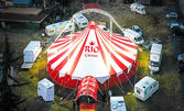 Вход за спектакъл на Цирк Рио в Нова Загора