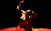 Магията на танца в танцовия спектакъл "Одисей и сенките" на 20 Май
