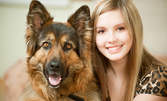 Преглед от ветеринар, плюс обезпаразитяване или ваксина на куче или коте