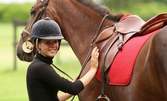 1 урок по конна езда за начинаещи