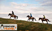 Еднодневен преход в Родопите, плюс наем на оседлани коне и водач за 3-часов конен тур