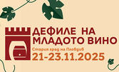 Еднодневна екскурзия с посещение на Фестивал "Дефиле на младото вино" в Пловдив през Ноември