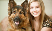 Цялостна грижа за кучето ви - с до 51% отстъпка