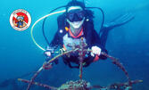 Опознай подводния свят! Водолазен курс PADI Open Water Diver, плюс кулинарен урок и дегустация на черноморски деликатеси