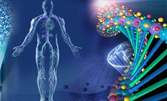 Компютърна квантова диагностика на здравословното състояние на организма с Биоскенер