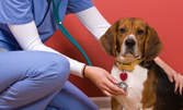 Пълен клиничен преглед на куче или котка, плюс козметични процедури и ваксина, или идентификация